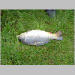 Popelov 17.9.2008 -43.JPG